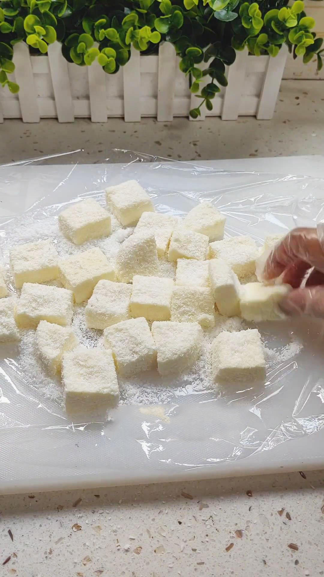Coat the sides of each square with additional shredded coconut