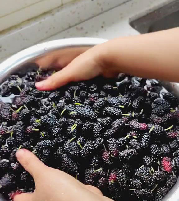 Clean the Mulberries