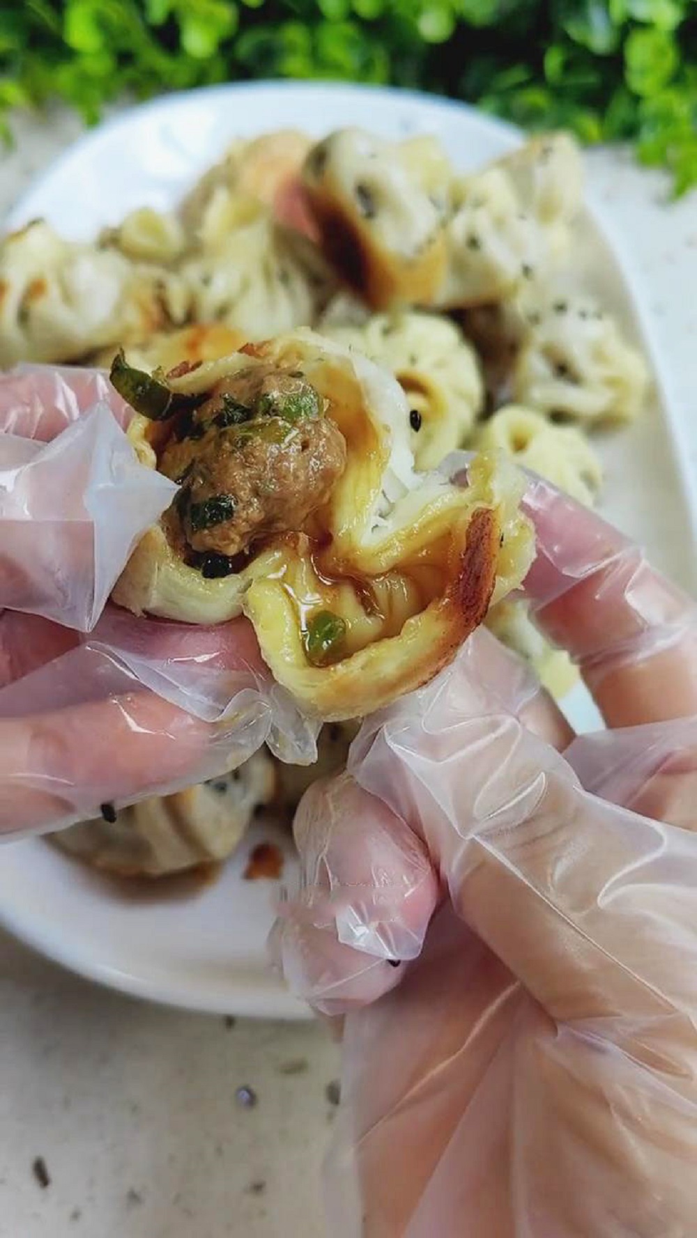 Pan Fried Soup Dumplings2