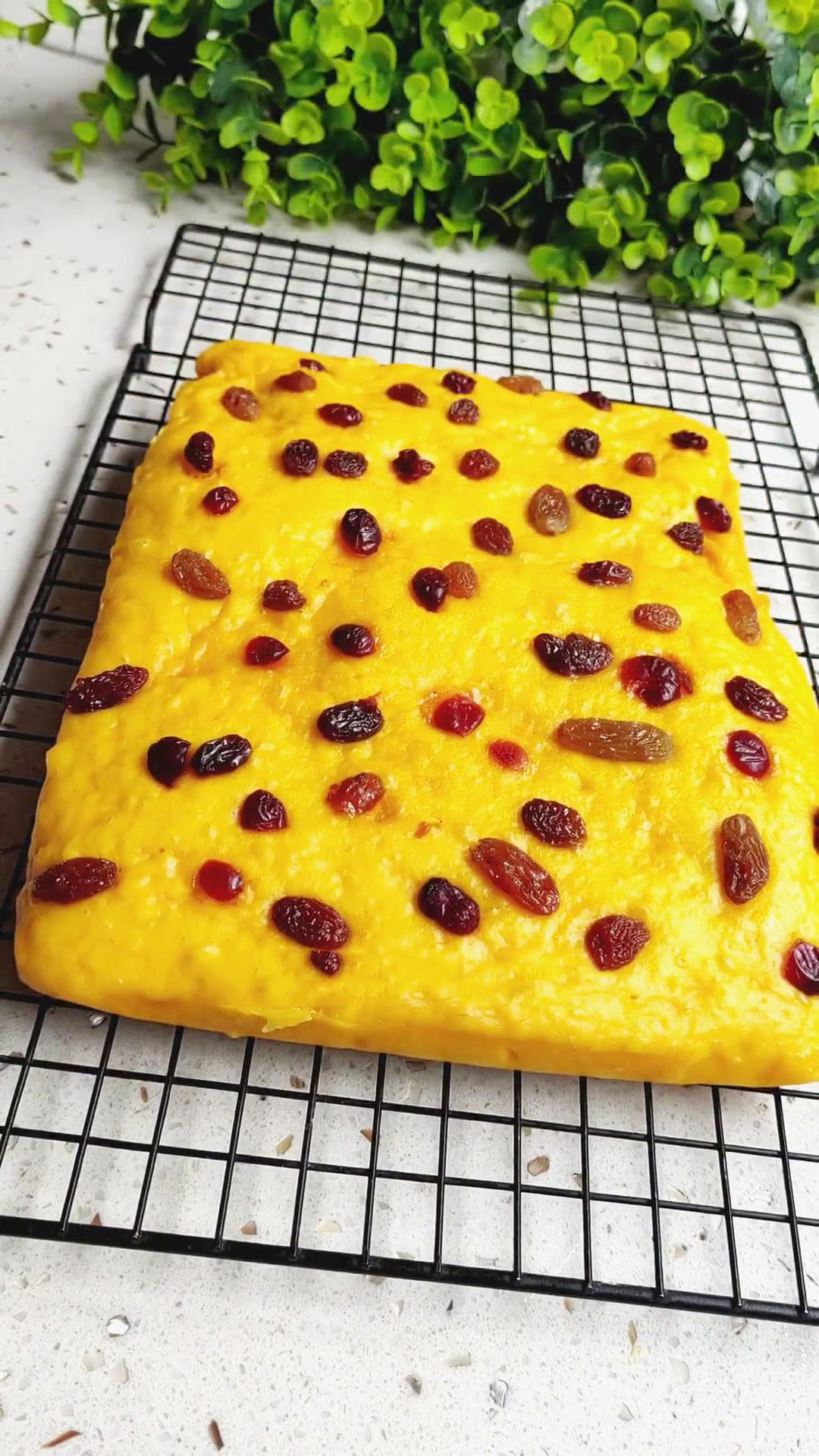 Steamed Pumpkin Cake Steamed Pumpkin Cake