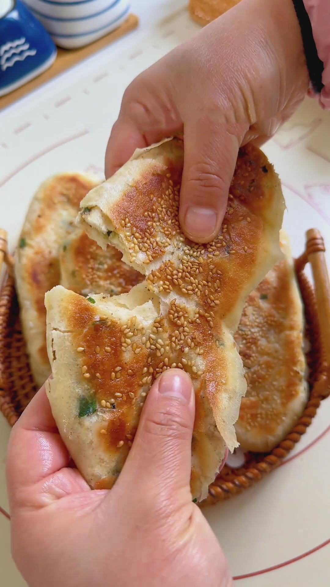 Green Onion Shao Bing (1) Green Onion Shao Bing (1)