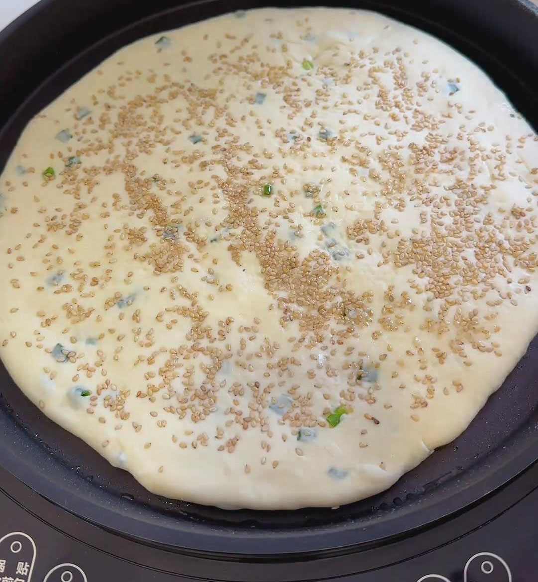 Place the proofed dough disk into the pan Place the proofed dough disk into the pan