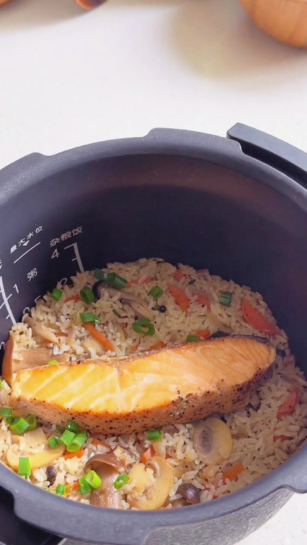 Rice Cooker Salmon Rice (2)