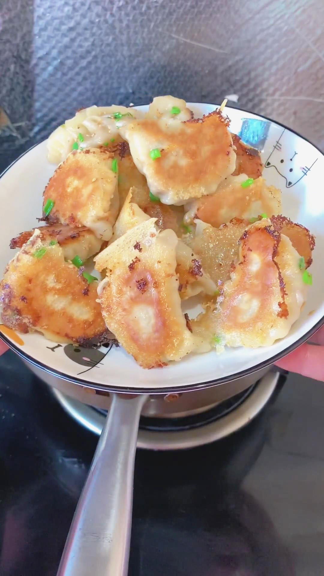 Pan Fried Dumplings (3)