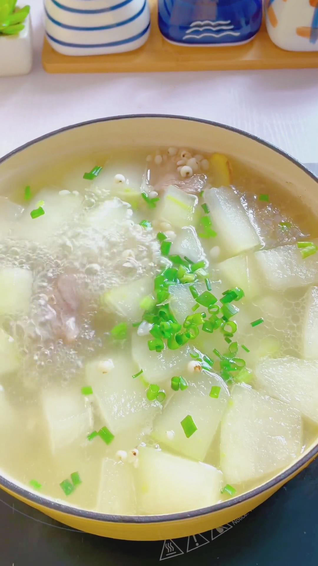 Winter Melon Soup with Pork Ribs (4)
