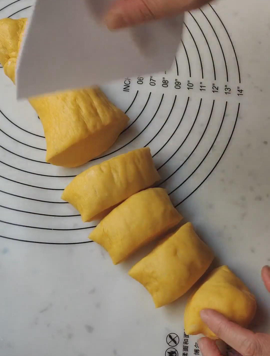 Roll the dough into a long log and divide it into 8 equal pieces