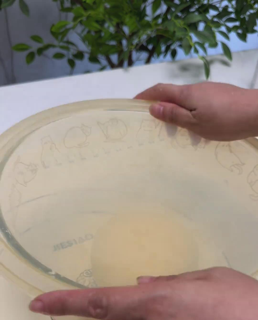 Cover the dough Cover the dough