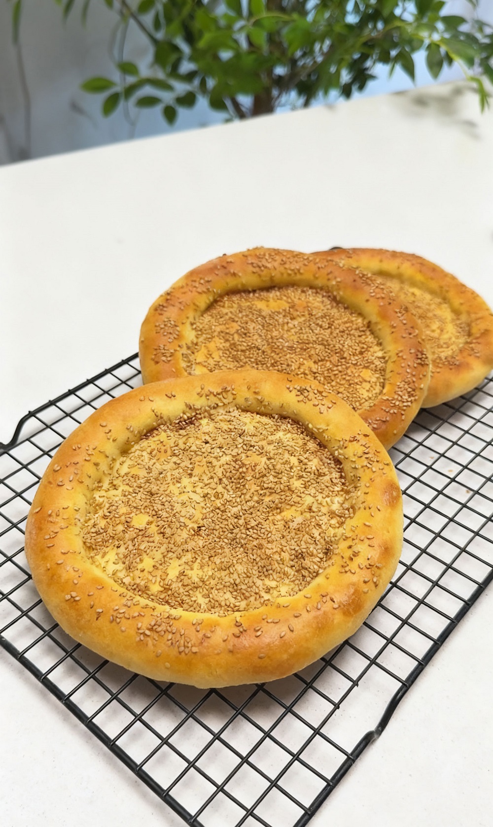 Uyghur Flatbread (1) Uyghur Flatbread (1)