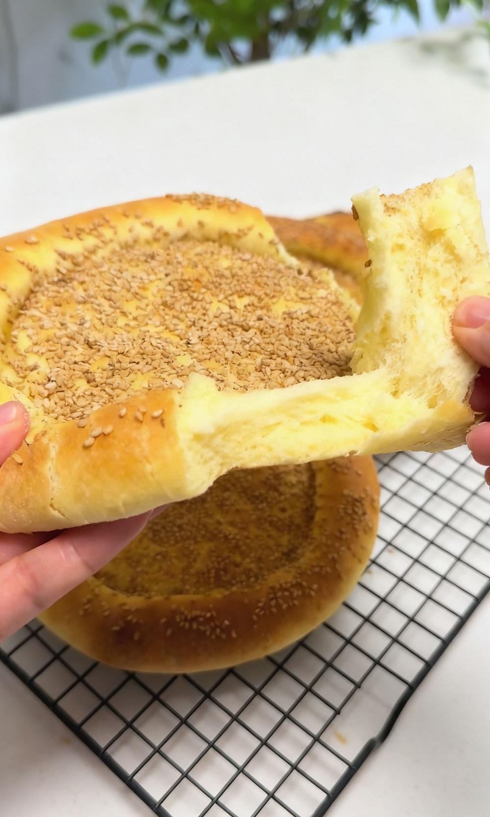 Uyghur Flatbread (2) Uyghur Flatbread (2)