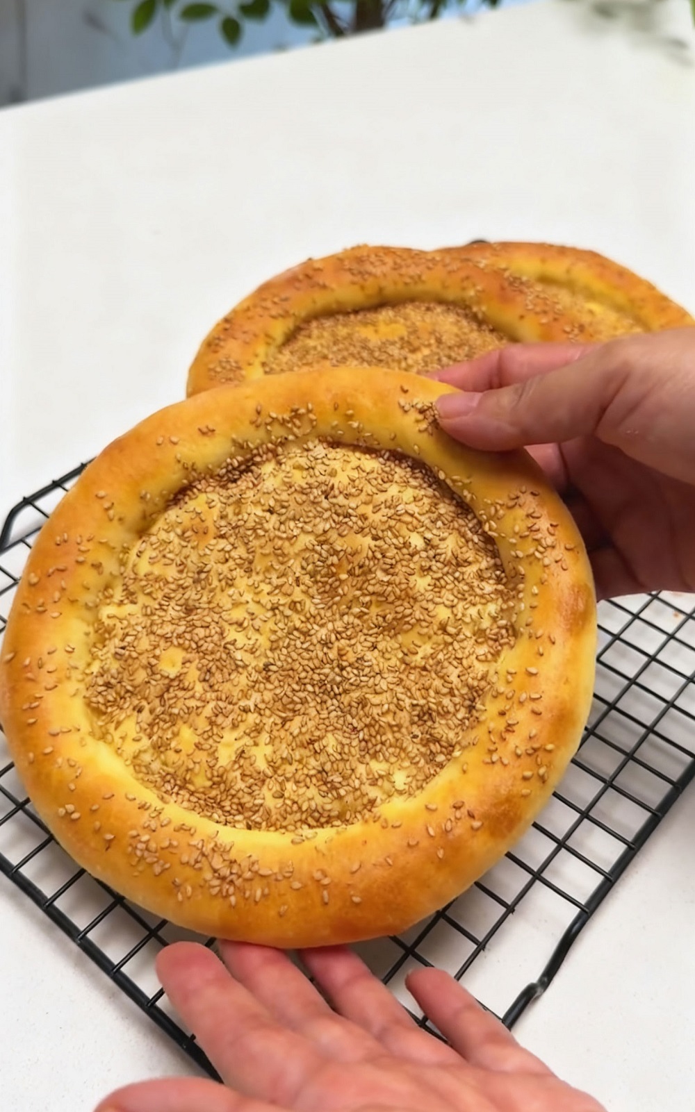 Uyghur Flatbread (3) Uyghur Flatbread (3)