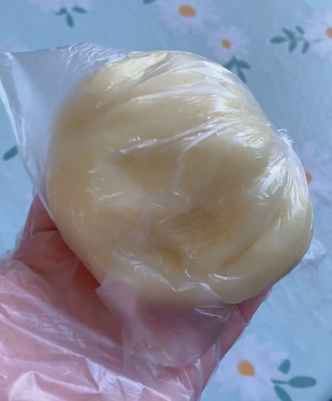 Place the finished dough into a sealed bag