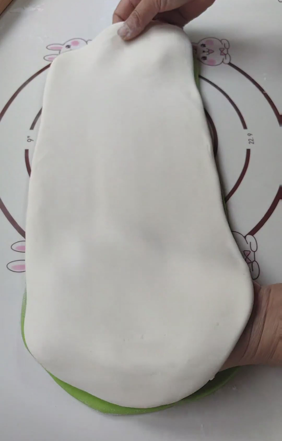 Place the white dough sheet directly on top of the spinach dough sheet Place the white dough sheet directly on top of the spinach dough sheet