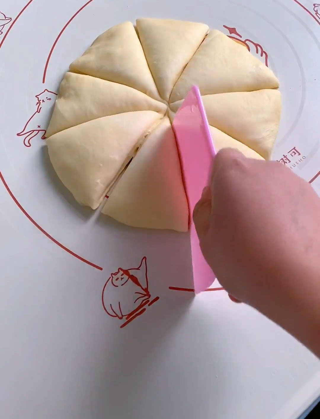 divide the dough into 8 equal pieces