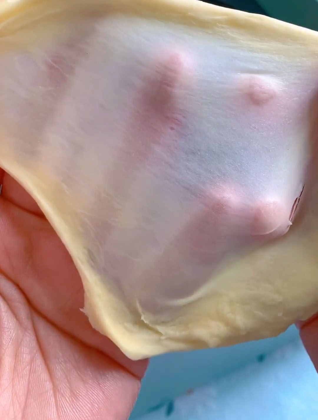 the dough can stretch into a thin, elastic windowpane