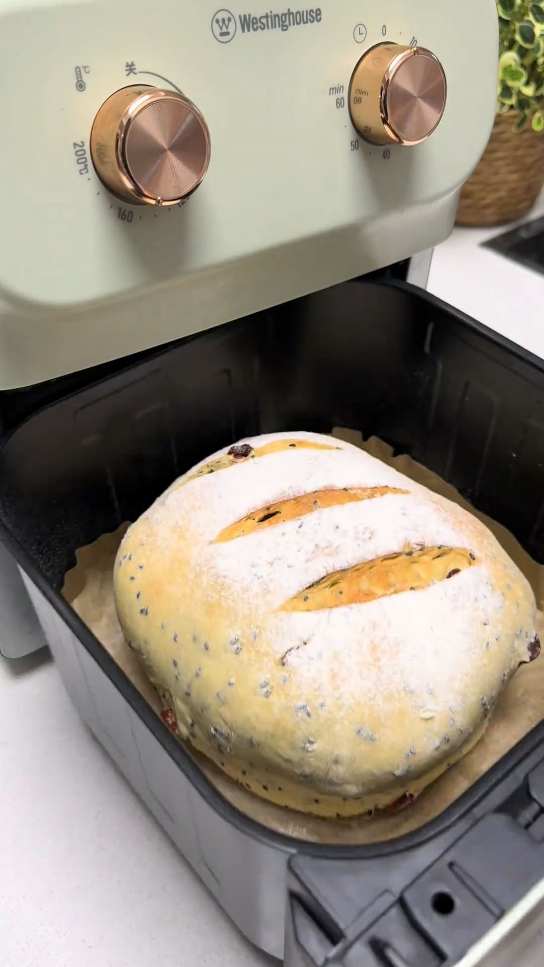 Artisan Bread (3) Artisan Bread (3)