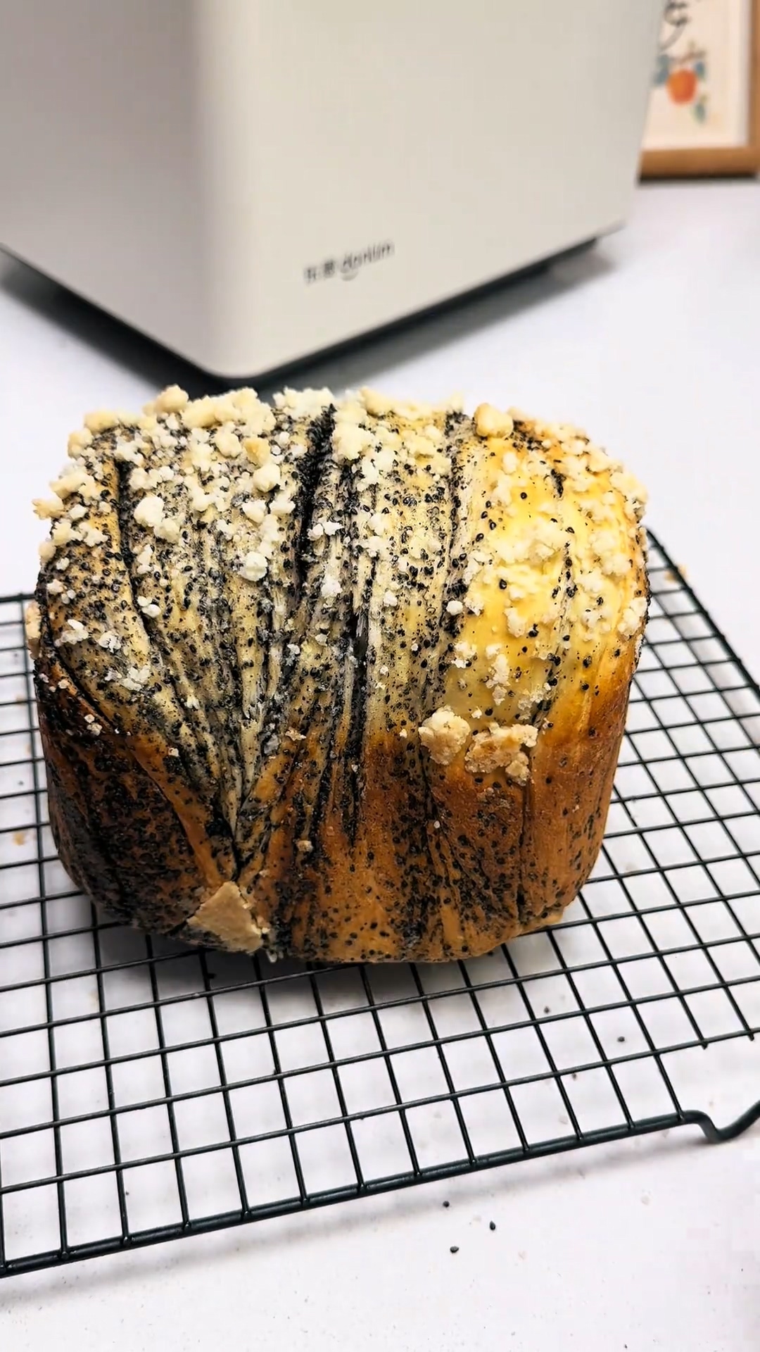 Black Sesame Bread (1)