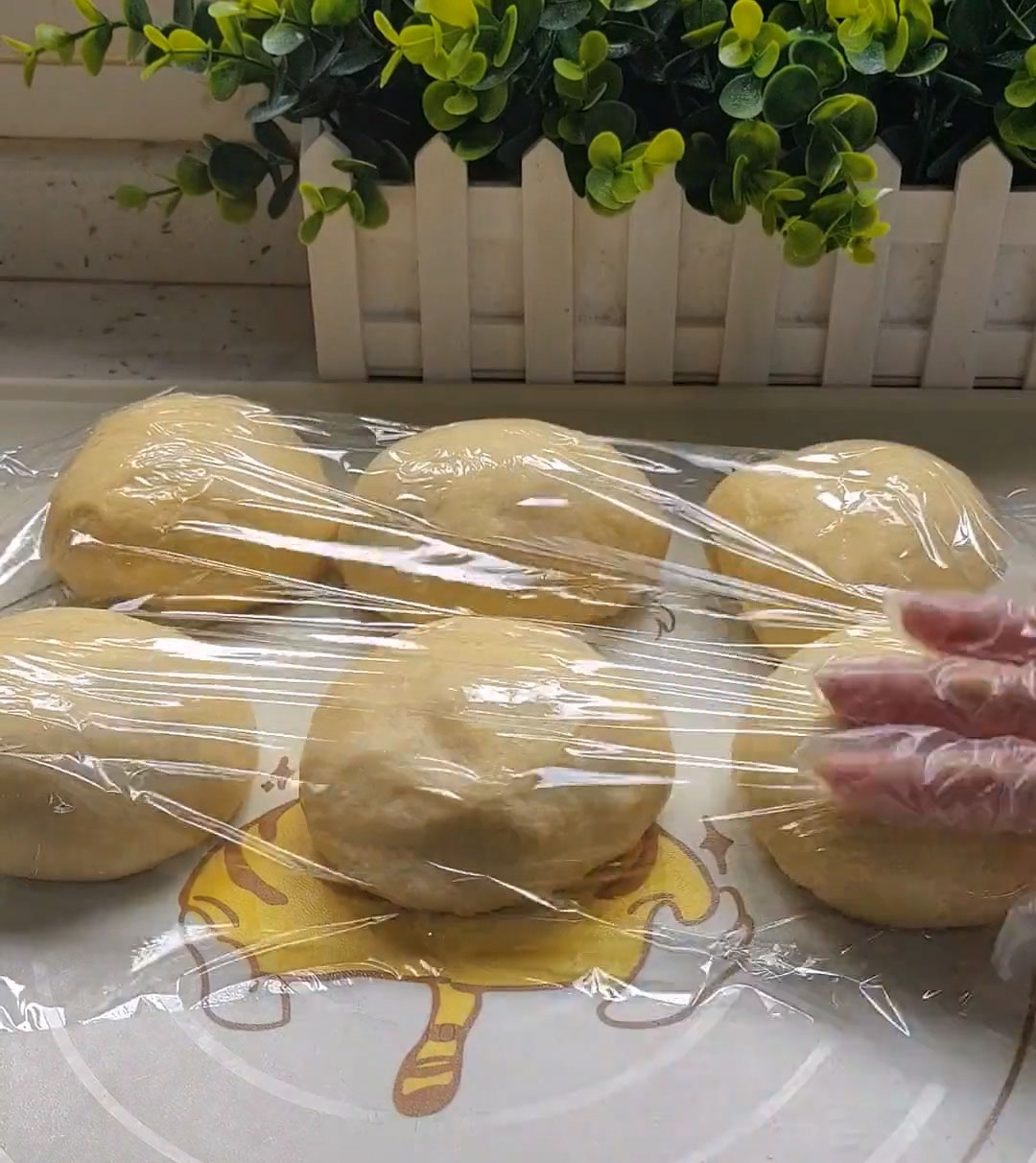 Cover and let rest for 20 minutes