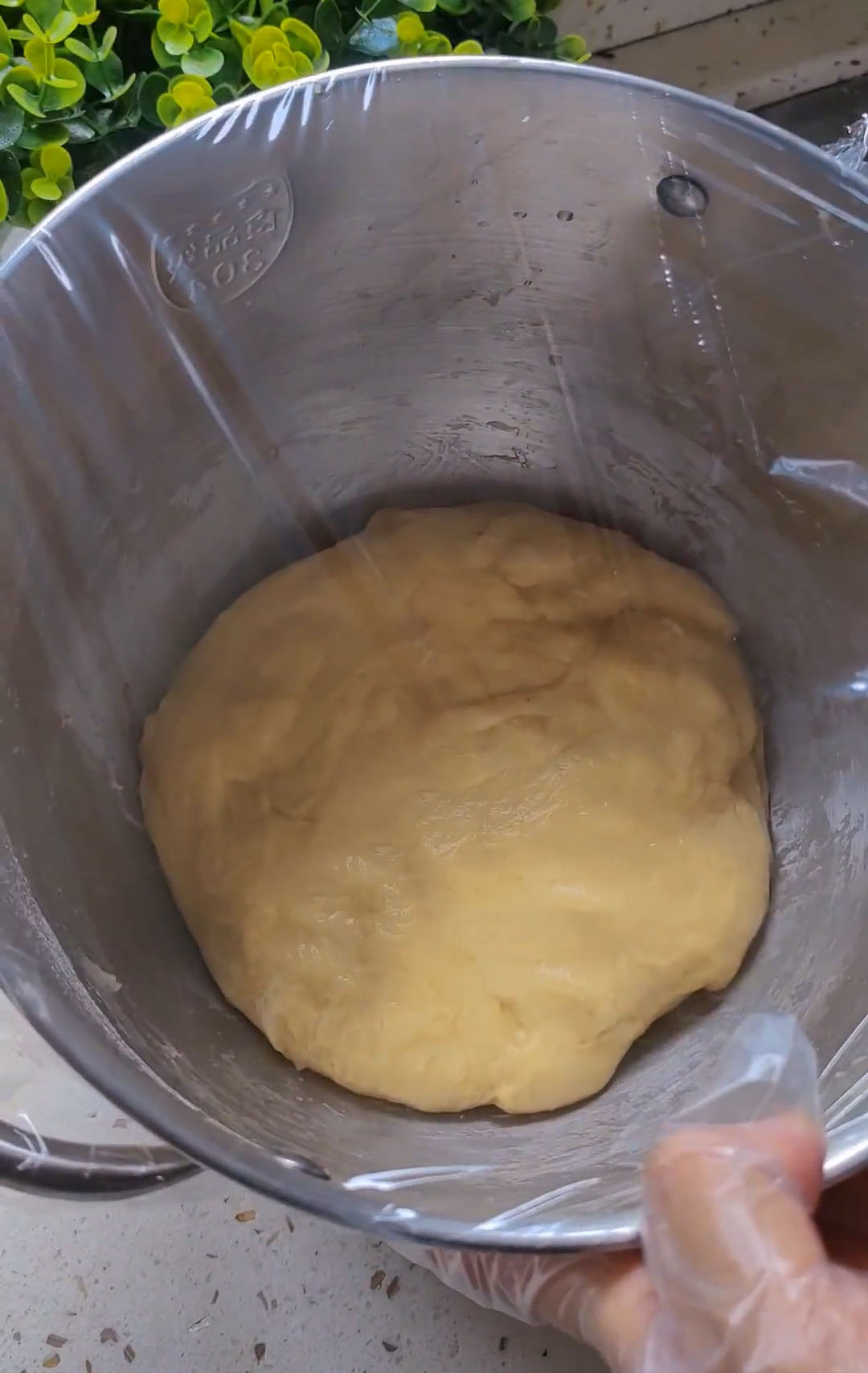 Cover the dough tightly and let it ferment in a warm environment