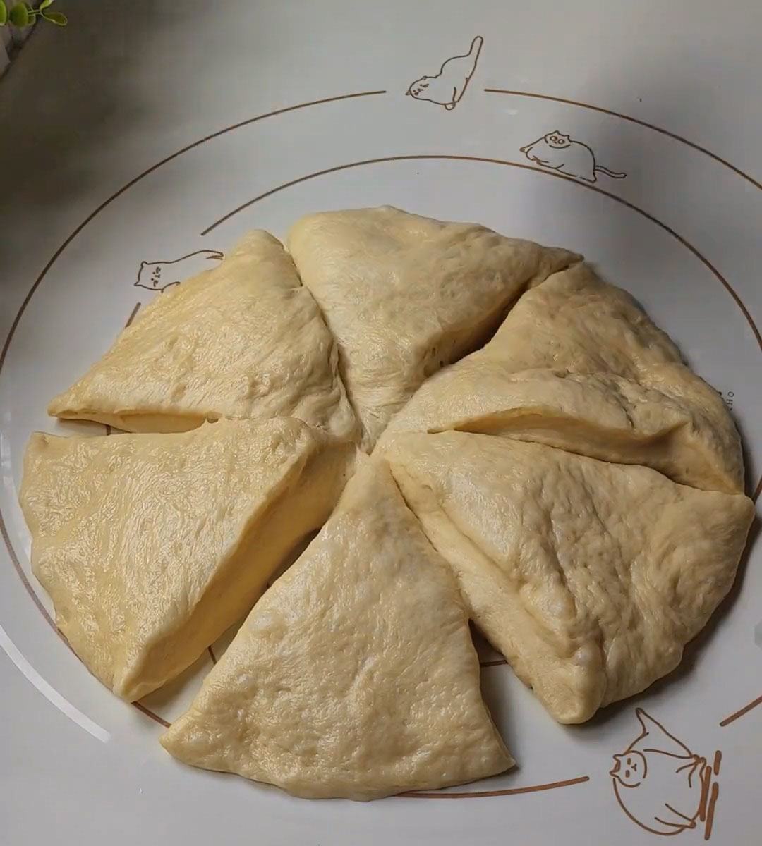 Divide evenly into 6 portions