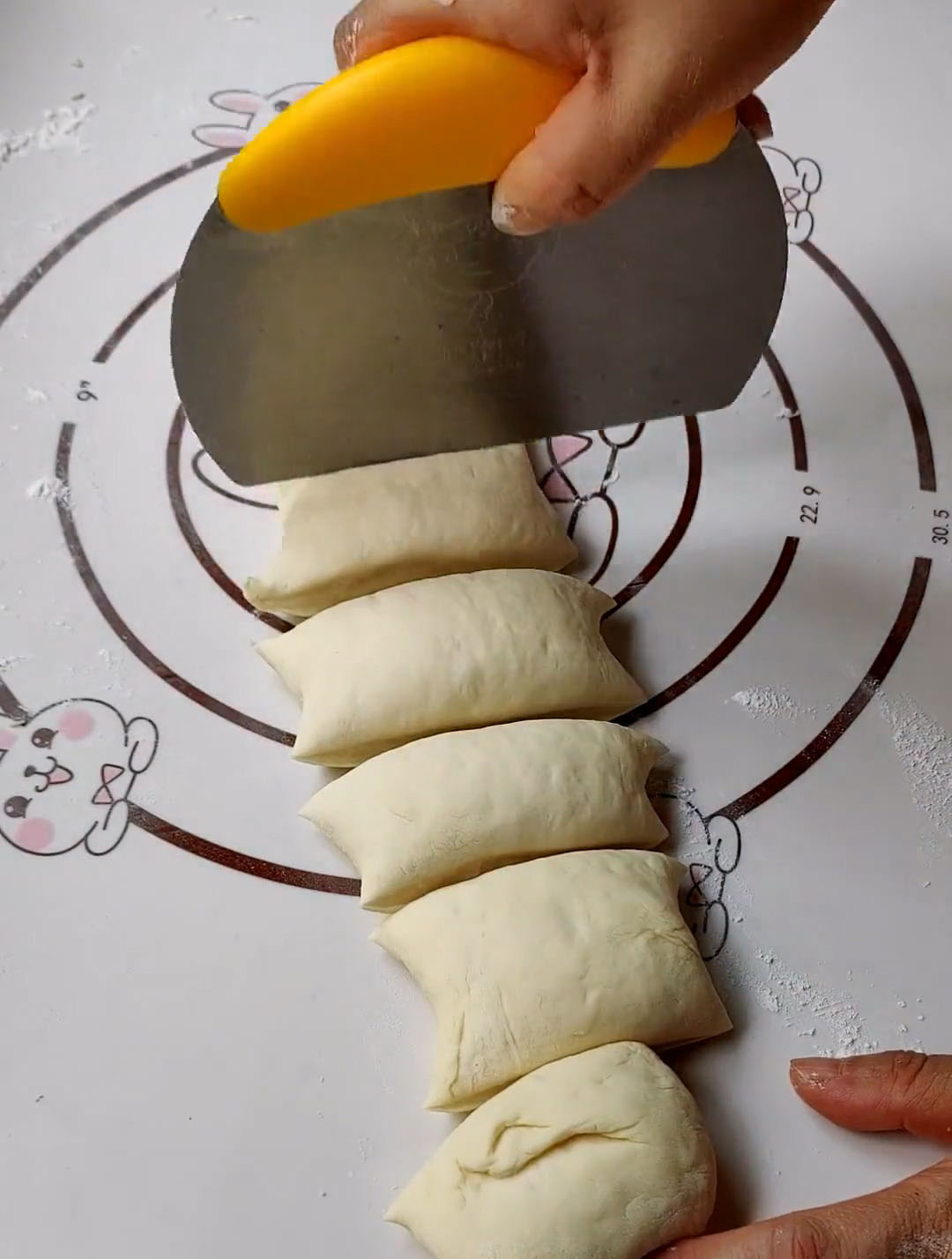 Divide into 8 equal portions