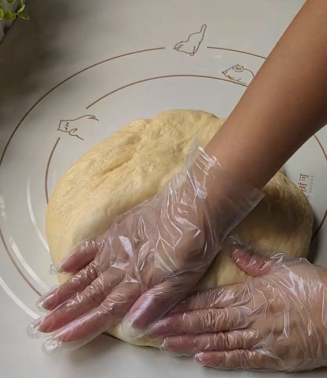 Gently press the dough to release excess gas