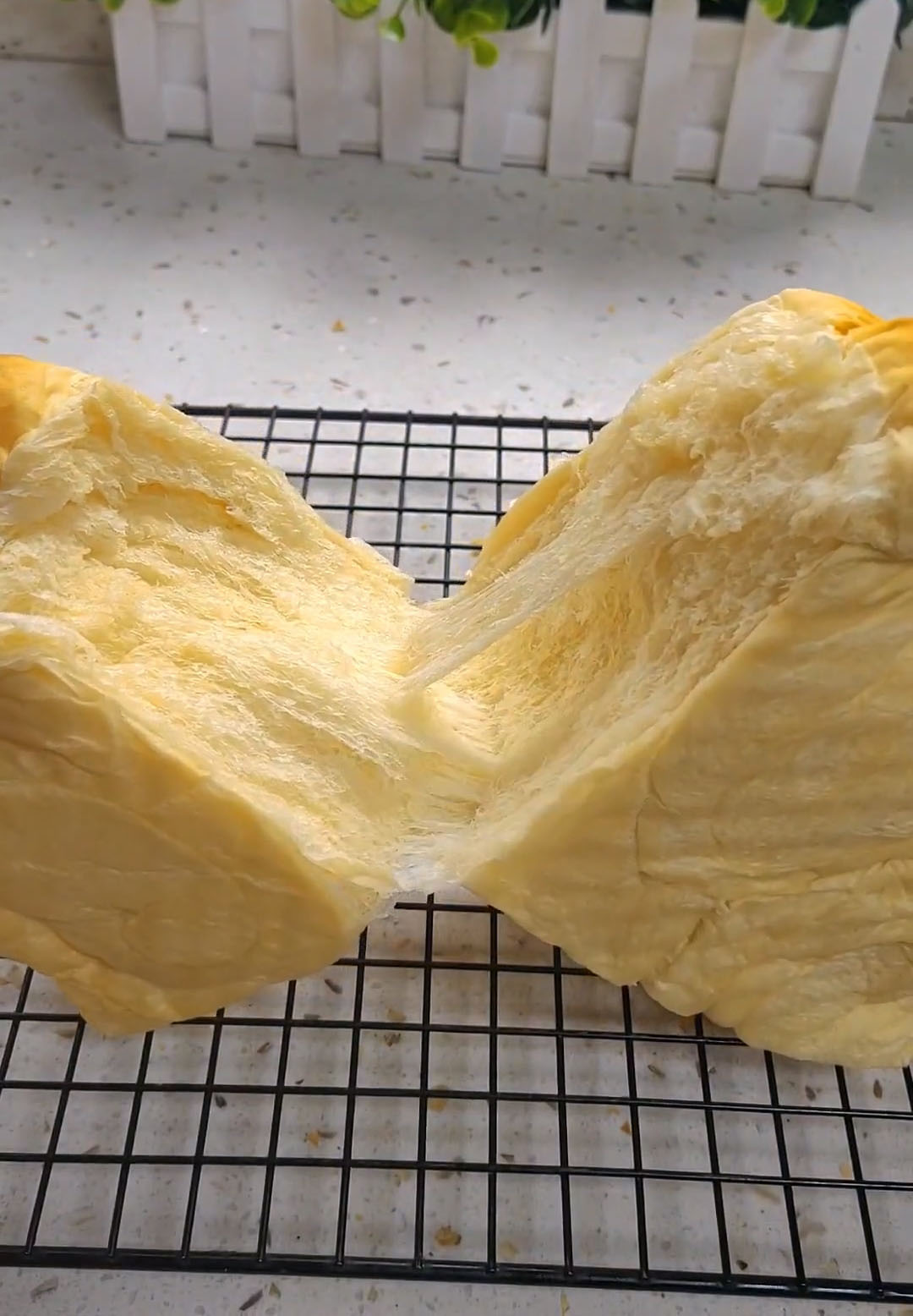 Hokkaido Milk Bread (3)