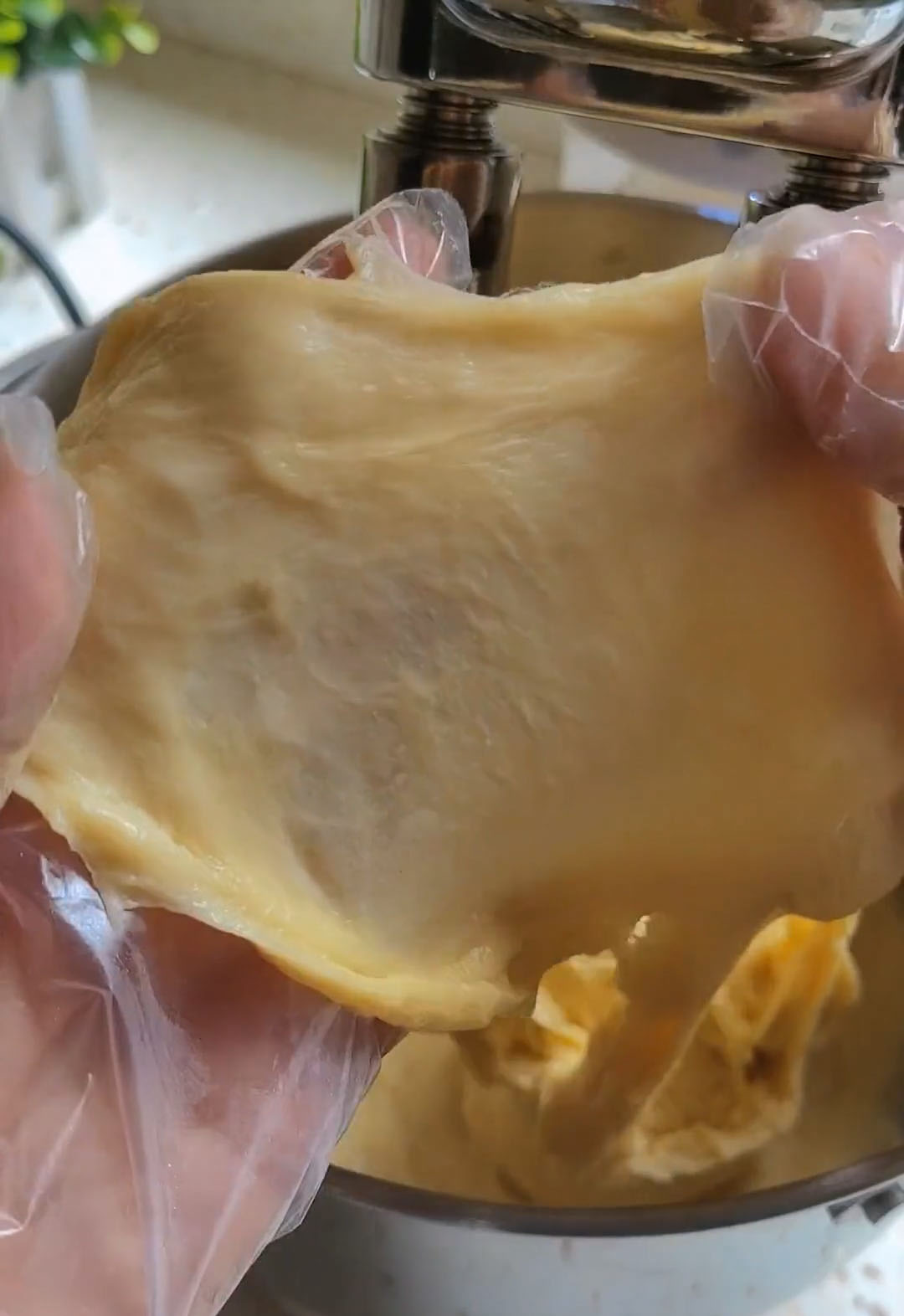 Knead Until Windowpane