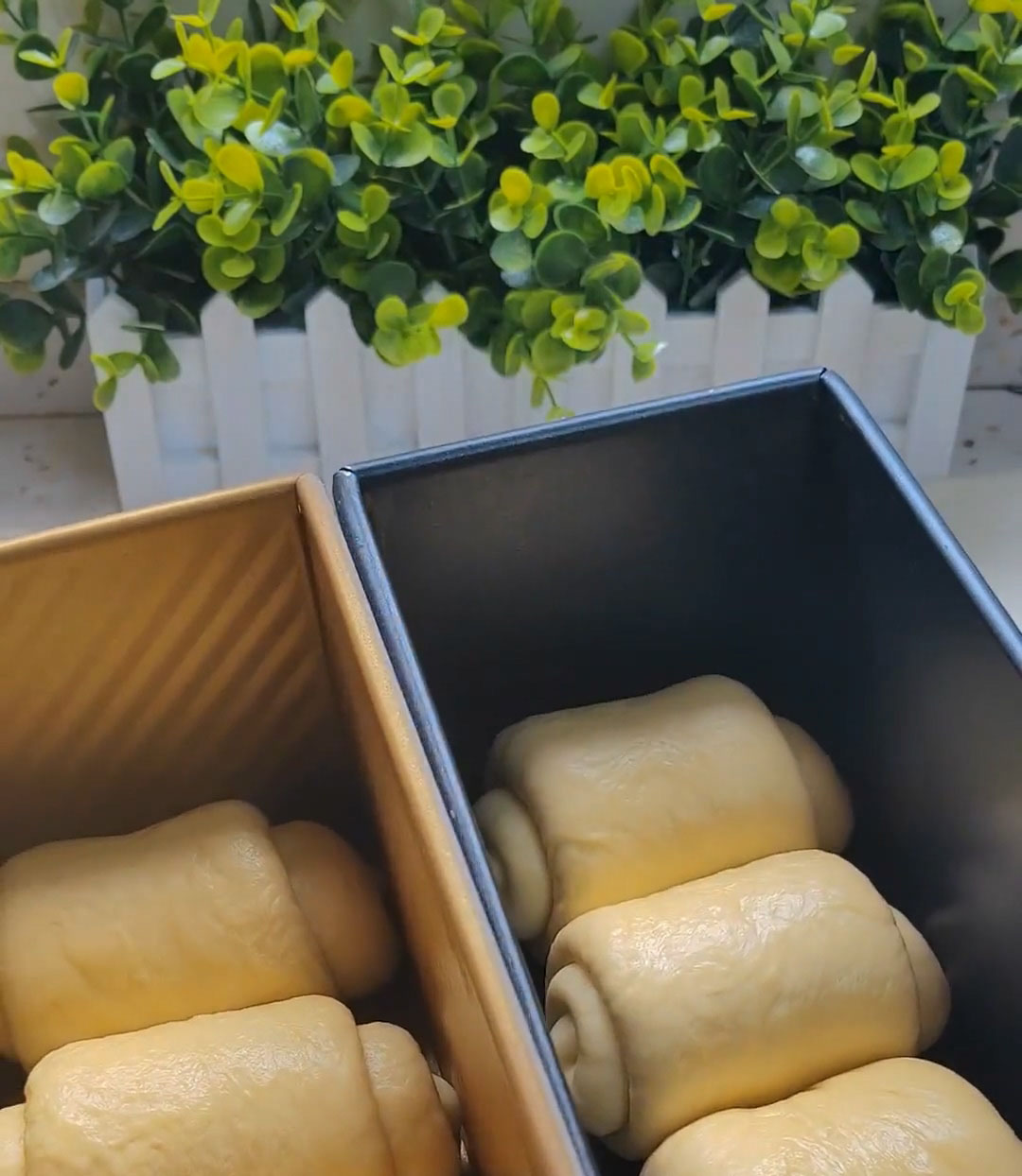 Place 3 pieces into each loaf pan