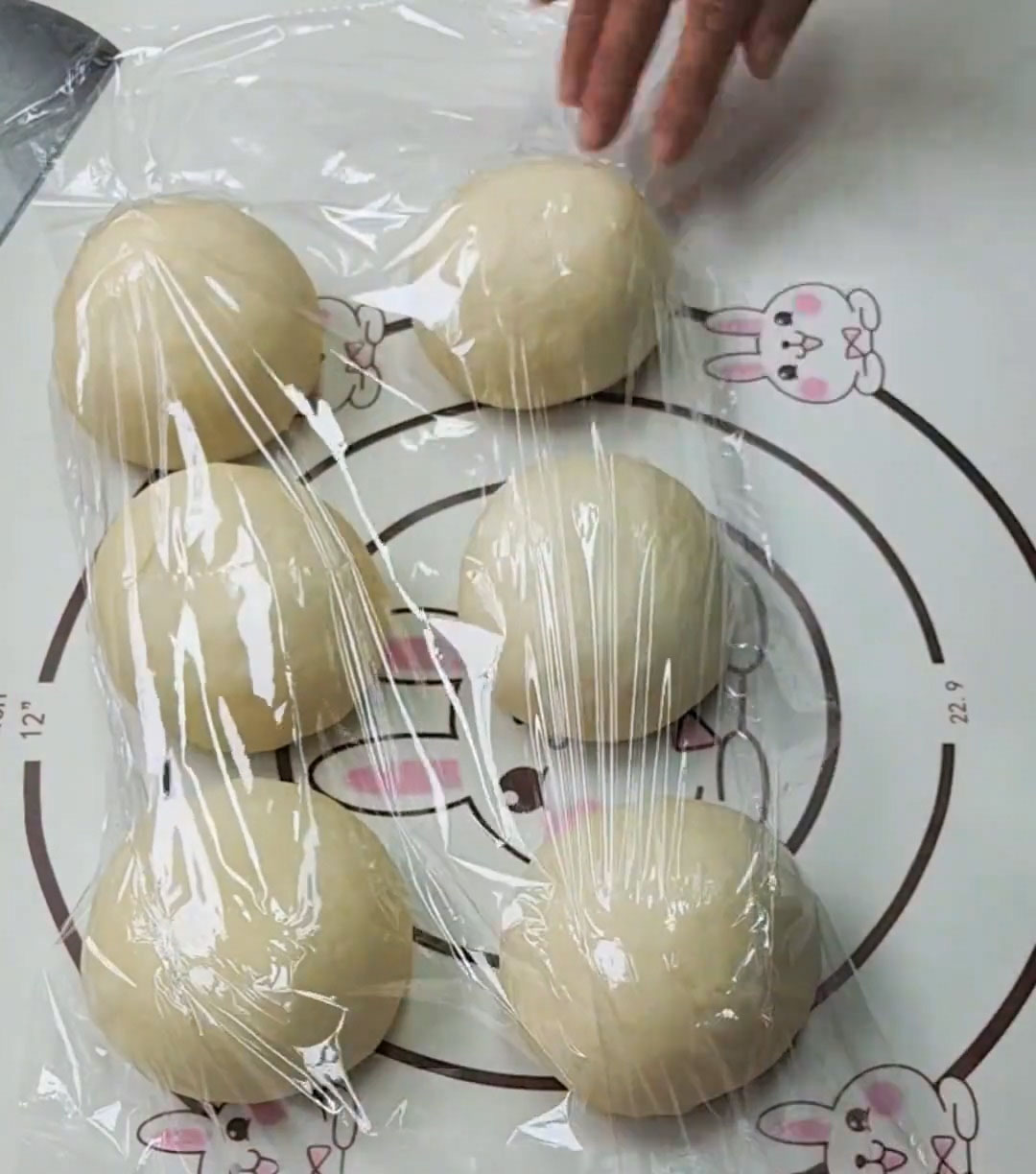 Shape each portion into a ball