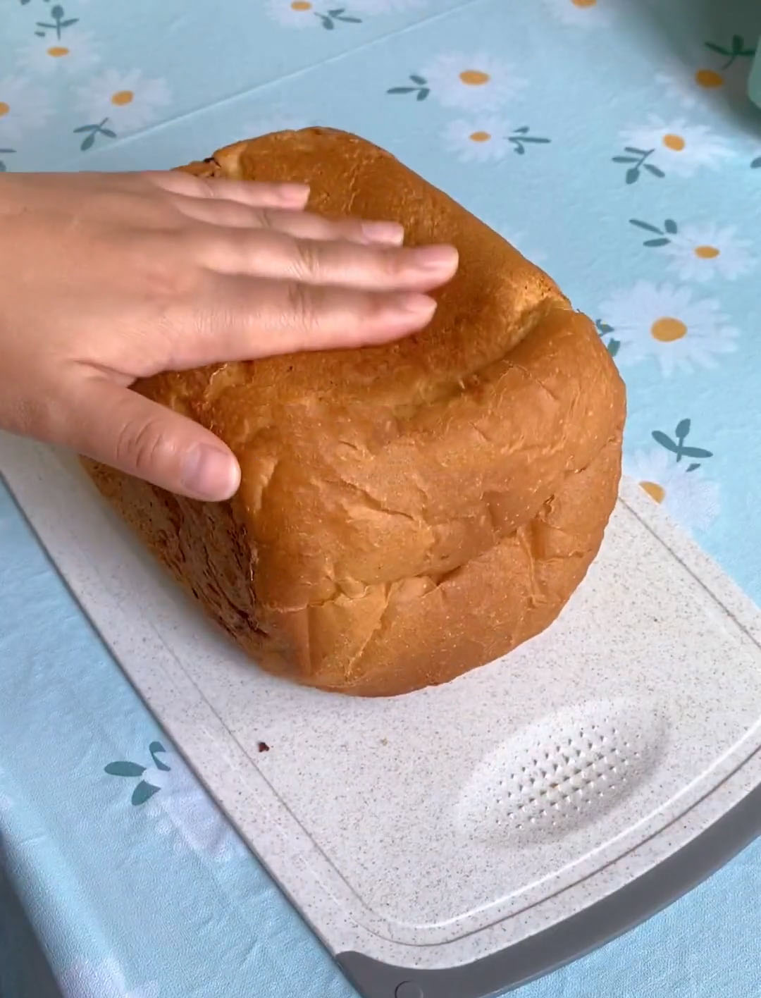 Yogurt Raisin Bread (1)