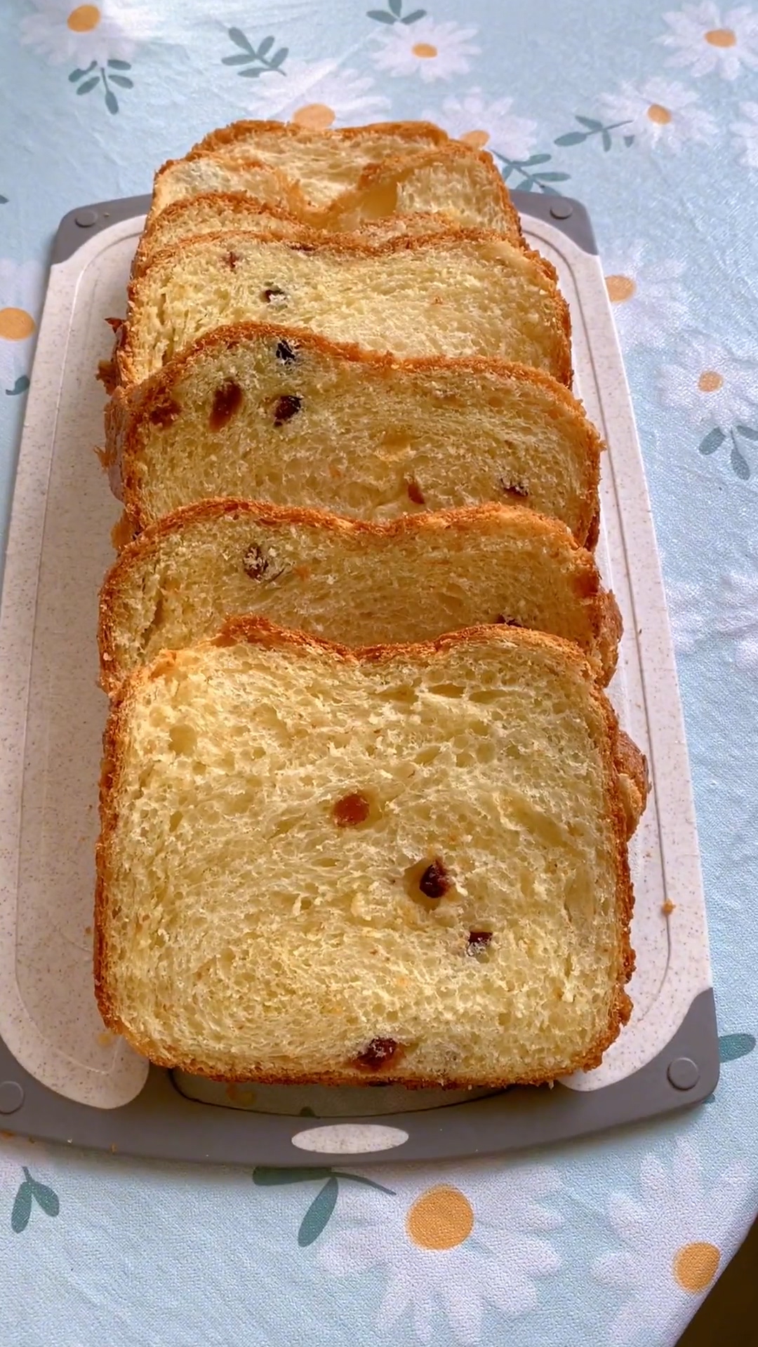 Yogurt Raisin Bread (2)