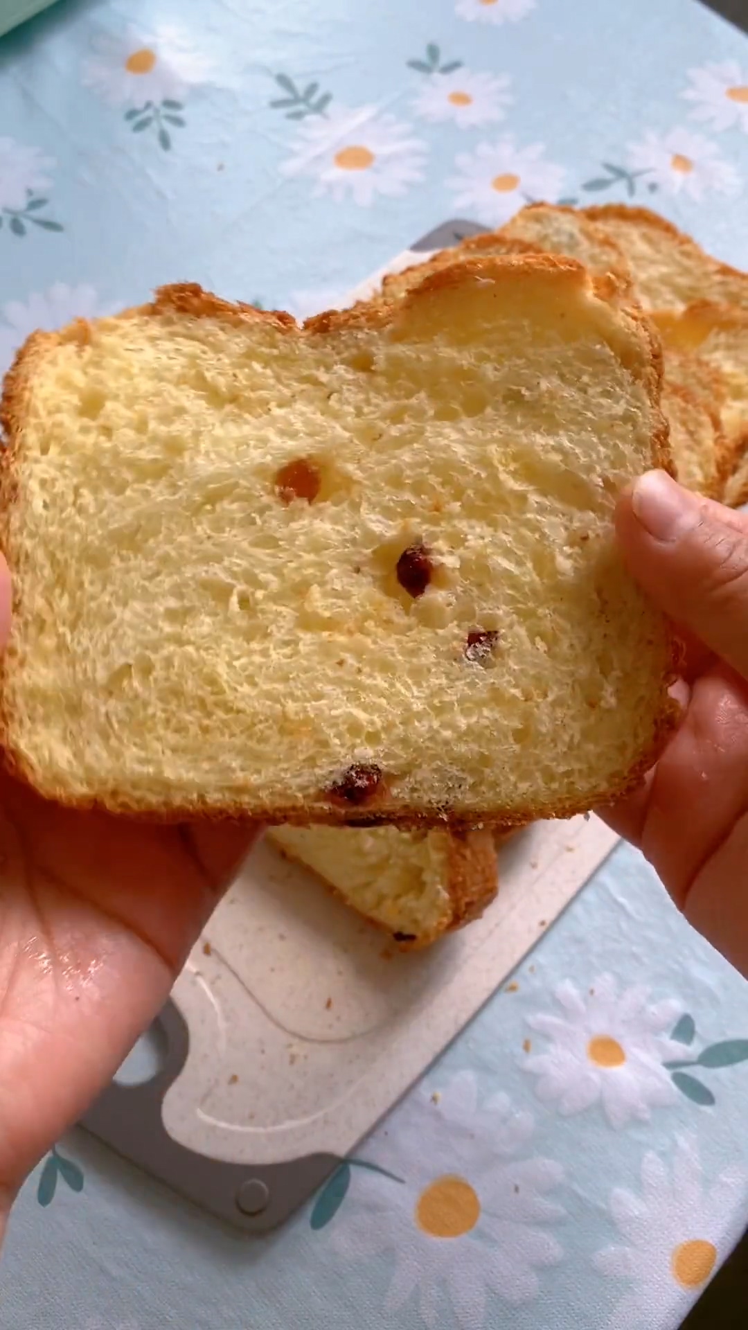 Yogurt Raisin Bread (3)