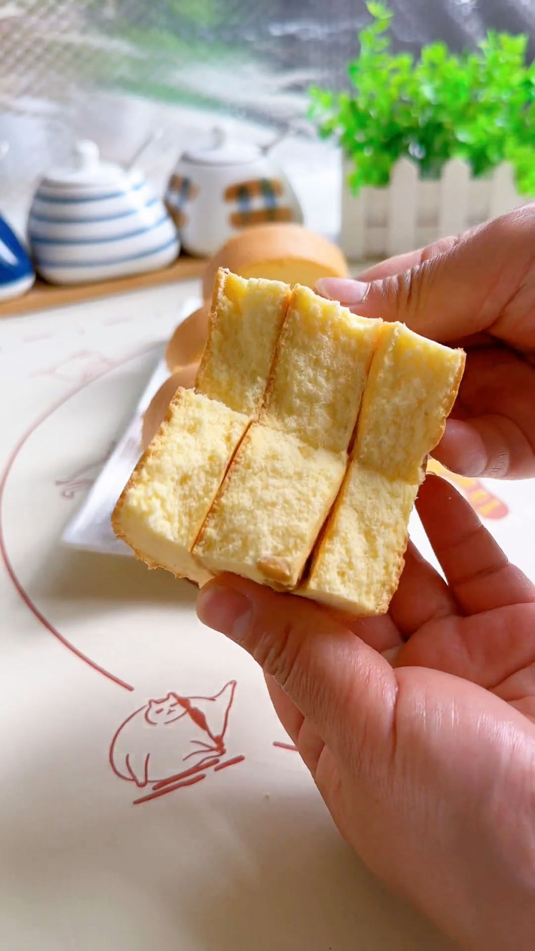 chinese swiss roll (3)