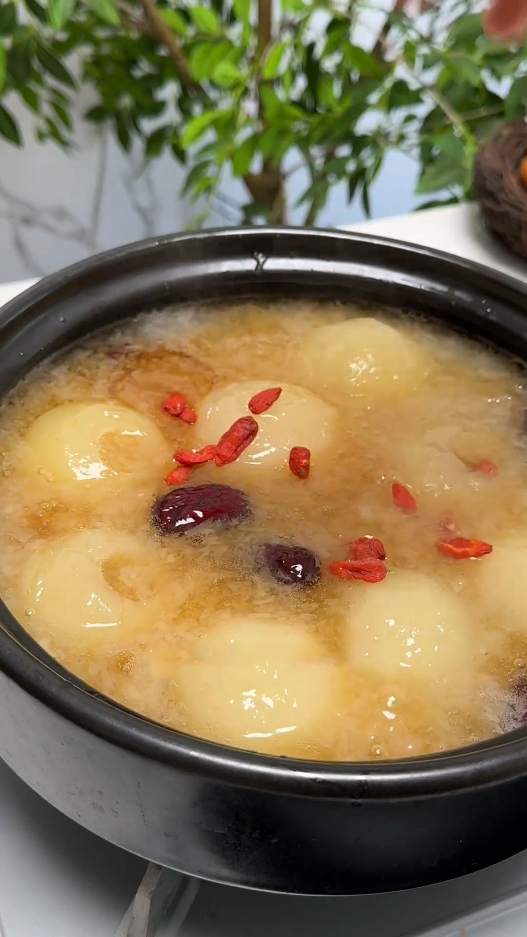 pear with white fungus soup (2)