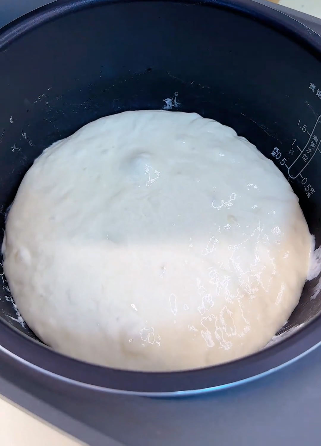 shape it into a roughly even round shape it into a roughly even round