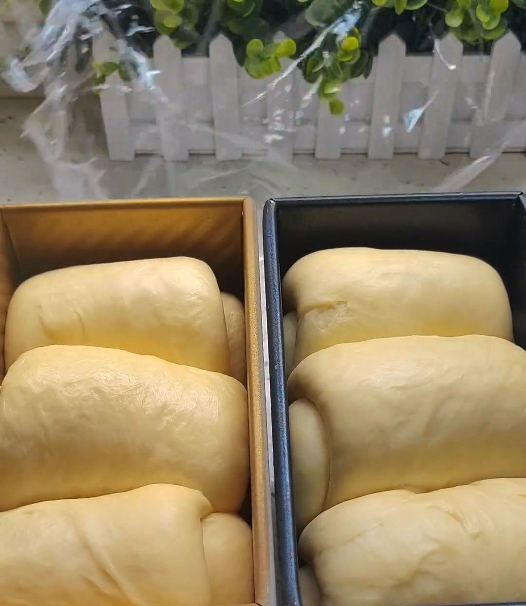 the dough reaches about 90% of the pan height